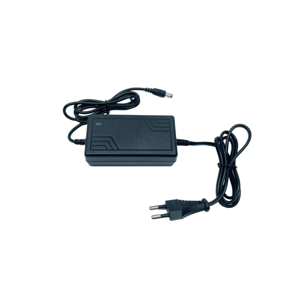 sạc pin Li-ion 21V 2A - hình ảnh thực tế